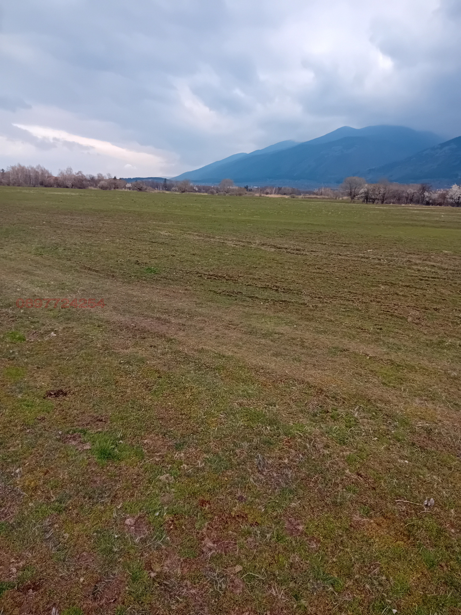 ������� ������ | Imot.bg � ����������� 7