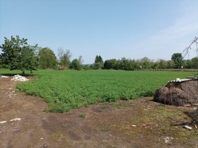 Парцел с. Полковник Дяково, област Добрич