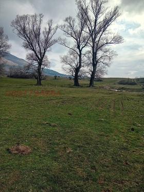 ������� ������ | Imot.bg � ����� ������ 5