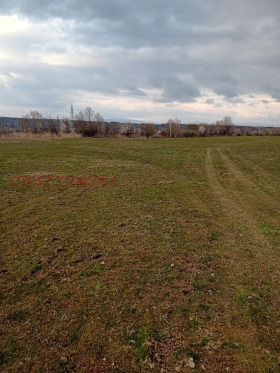 ������� ������ | Imot.bg � ����� ������ 8