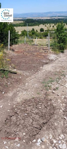 ����� ������� ������,���� �����, ��. �����