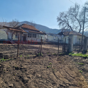 ������ ������� ������