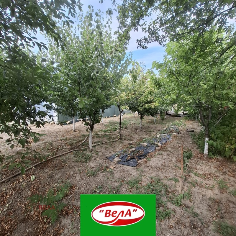 Til salg  Hus region Veliko Tarnovo , Draganovo , 90 kvm | 80895782 - billede [15]