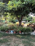 Продава КЪЩА, с. Гурково, област Добрич, снимка 15