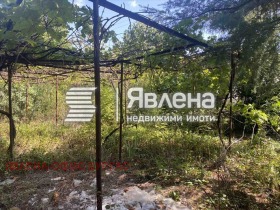 Продажба на имоти в с. Александрово, област Бургас — страница 2 - изображение 19 