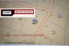 ����� ������� ������,���� �����, ����������