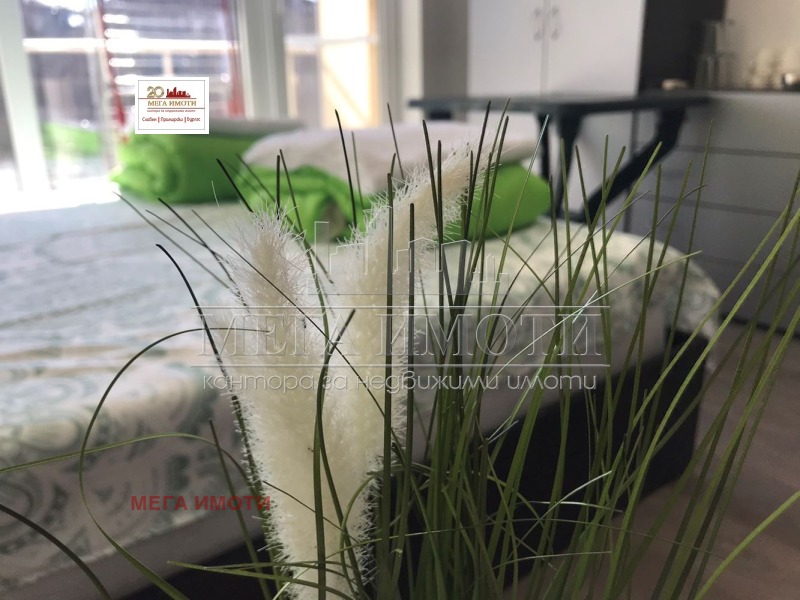 For Sale  Studio region Burgas , Primorsko , 38 sq.m | 91692553