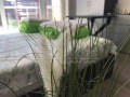 Продава 1-СТАЕН, област Бургас, гр. Приморско • 48000 € • 97631367 — Holmes.bg