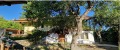 Продава КЪЩА, област Пловдив, с. Извор • 191000 € • 49720471 — Holmes.bg