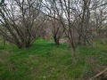 Продава ПАРЦЕЛ, област София, с. Алдомировци • 55000 € / 107570.65 лв. • 29816738 2