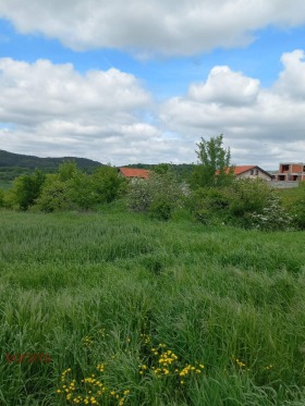 Grund Malka Vereya, region Stara Zagora 3