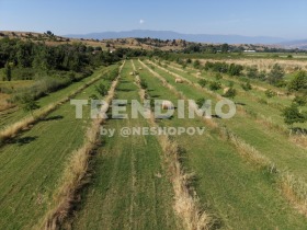 ������� ������ | Imot.bg � ����� ������ 5