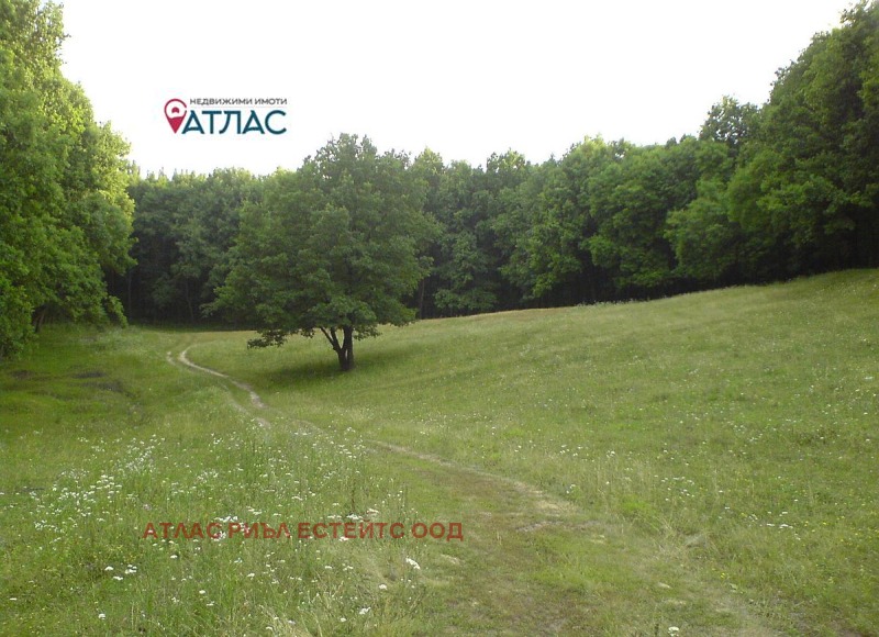 For Sale  Land region Sofia , Plana , 7 dka | 80704245