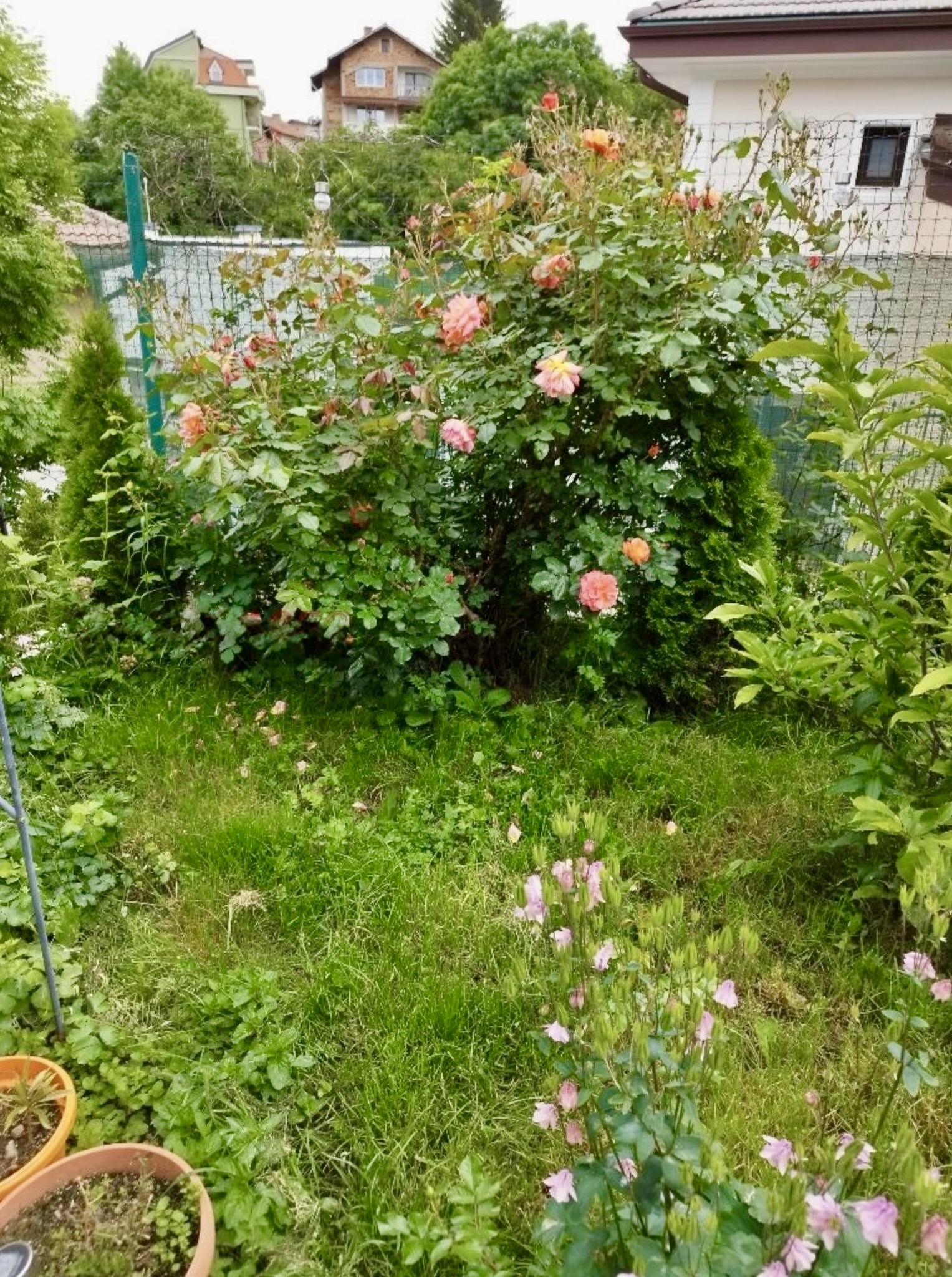 Продава КЪЩА, гр. София, с. Владая, снимка 2 - Къщи - 54698833