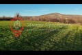 Продава ПАРЦЕЛ, с. Бошуля, област Пазарджик, снимка 5