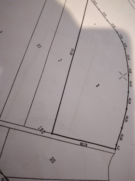 ������ ������� ������