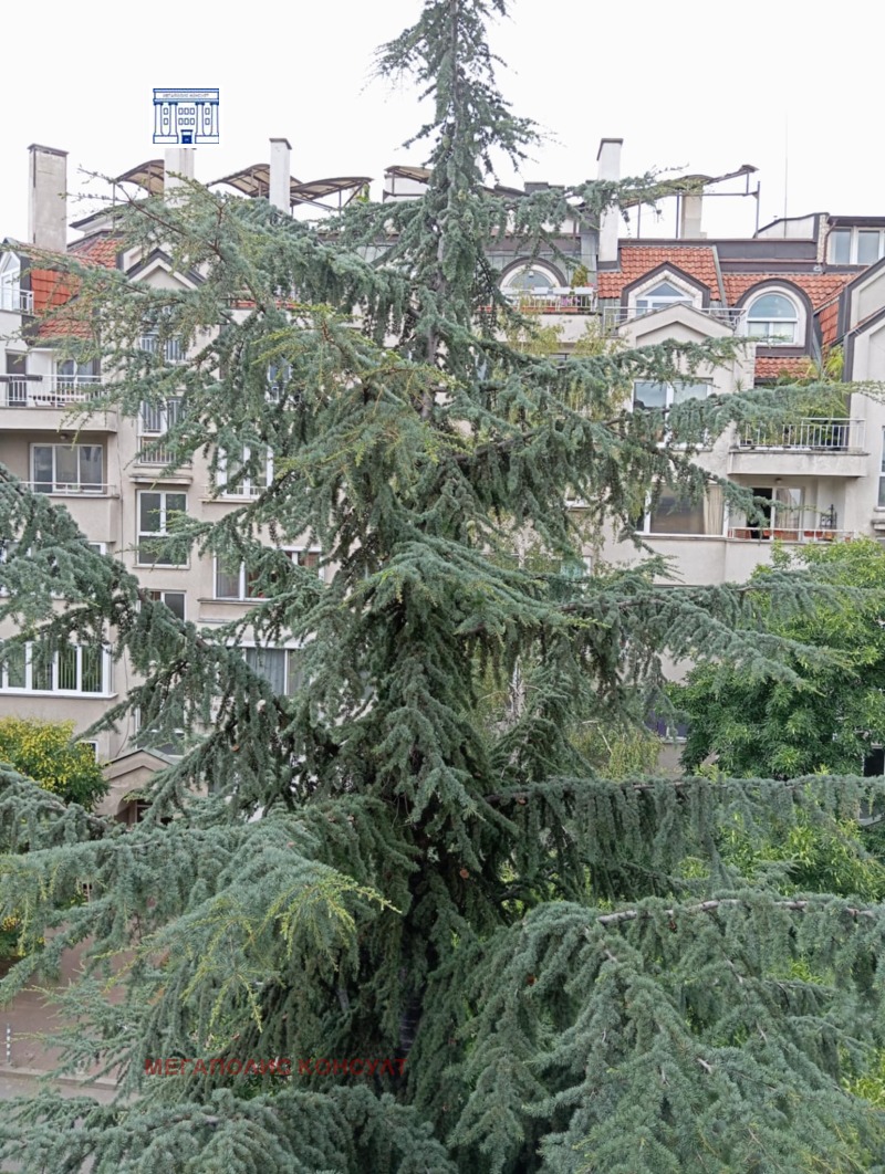 Προς πώληση  2 υπνοδωμάτια Σοφηια , Λοζενετσ , 188 τ.μ | 10534333 - εικόνα [13]