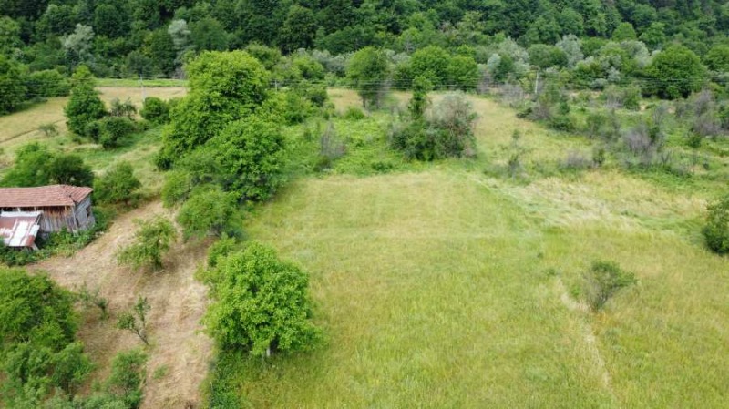 Na prodej  Spiknutí oblast Loveč , Ribarica , 5150 m2 | 39662638 - obraz [6]