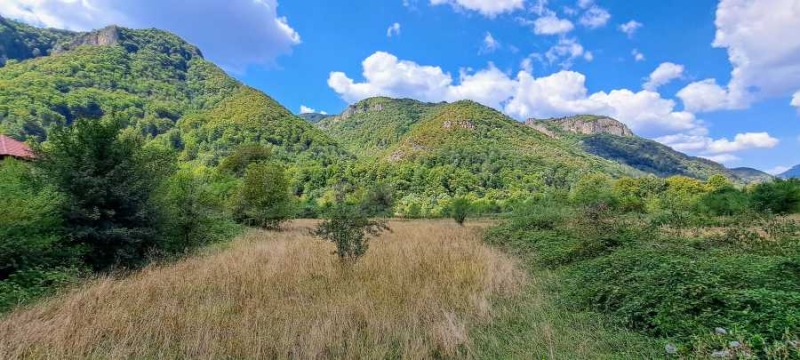 Till salu  Komplott region Lovech , Ribarica , 5150 kvm | 39662638 - bild [2]