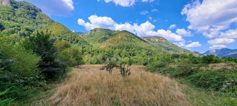 In vendita  Complotto regione Lovech , Ribaritsa , 5150 mq | 39662638 - Immagine [15]