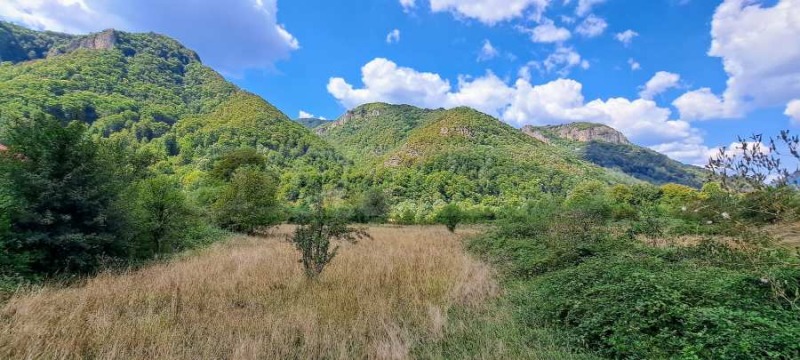 Na prodej  Spiknutí oblast Loveč , Ribarica , 5150 m2 | 39662638 - obraz [11]