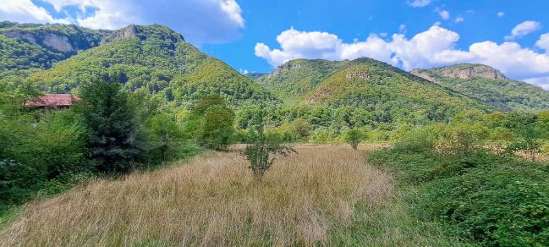 Na prodej  Spiknutí oblast Loveč , Ribarica , 5150 m2 | 39662638 - obraz [14]