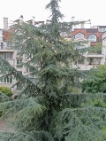 Продава 3-СТАЕН, град София, Лозенец • 658000 € • 30113948 — Holmes.bg