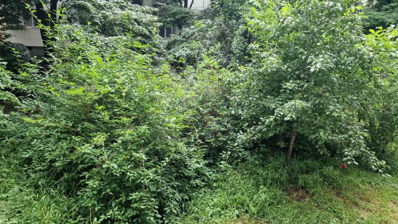 Продава 3-СТАЕН, гр. София, Гео Милев, снимка 5 - Апартаменти - 52569948