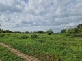 Продава ЗЕМЕДЕЛСКА ЗЕМЯ, с. Джерман, област Кюстендил, снимка 2
