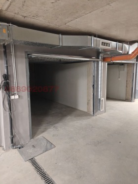 ����� ������� �����,���� �����, ����� 5