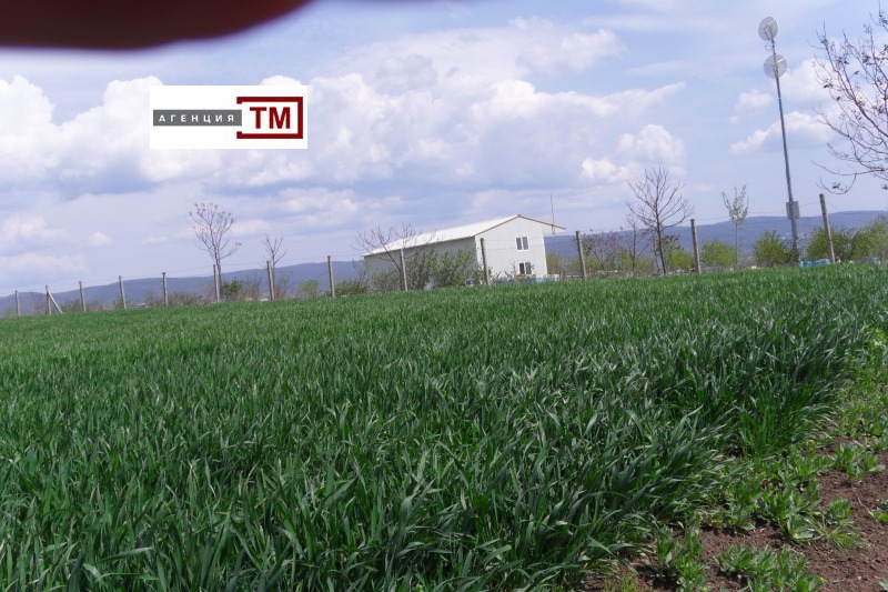 Til salg  Jord region Burgas , Tankovo , 8.5 dka | 60956393 - billede [4]