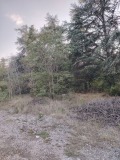 Продава  Парцел град Варна , м-т Добрева чешма , 6000 кв.м | 47780022 - изображение [2]