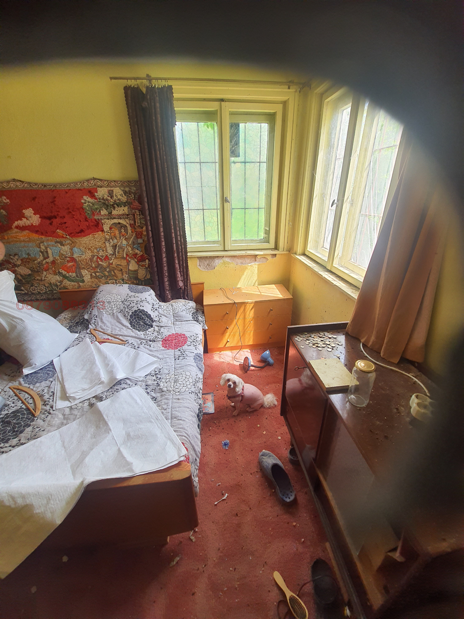 ������� ���� | Imot.bg � ����������� 8