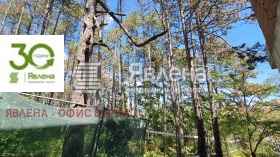 ����� ������� 2-�����,���� �����, ������>