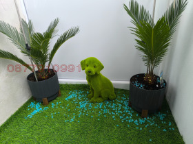 ������� 4-����� | Imot.bg � ����� ������ 14