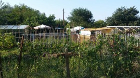 ������� ������ | Imot.bg � ����� ������ 8
