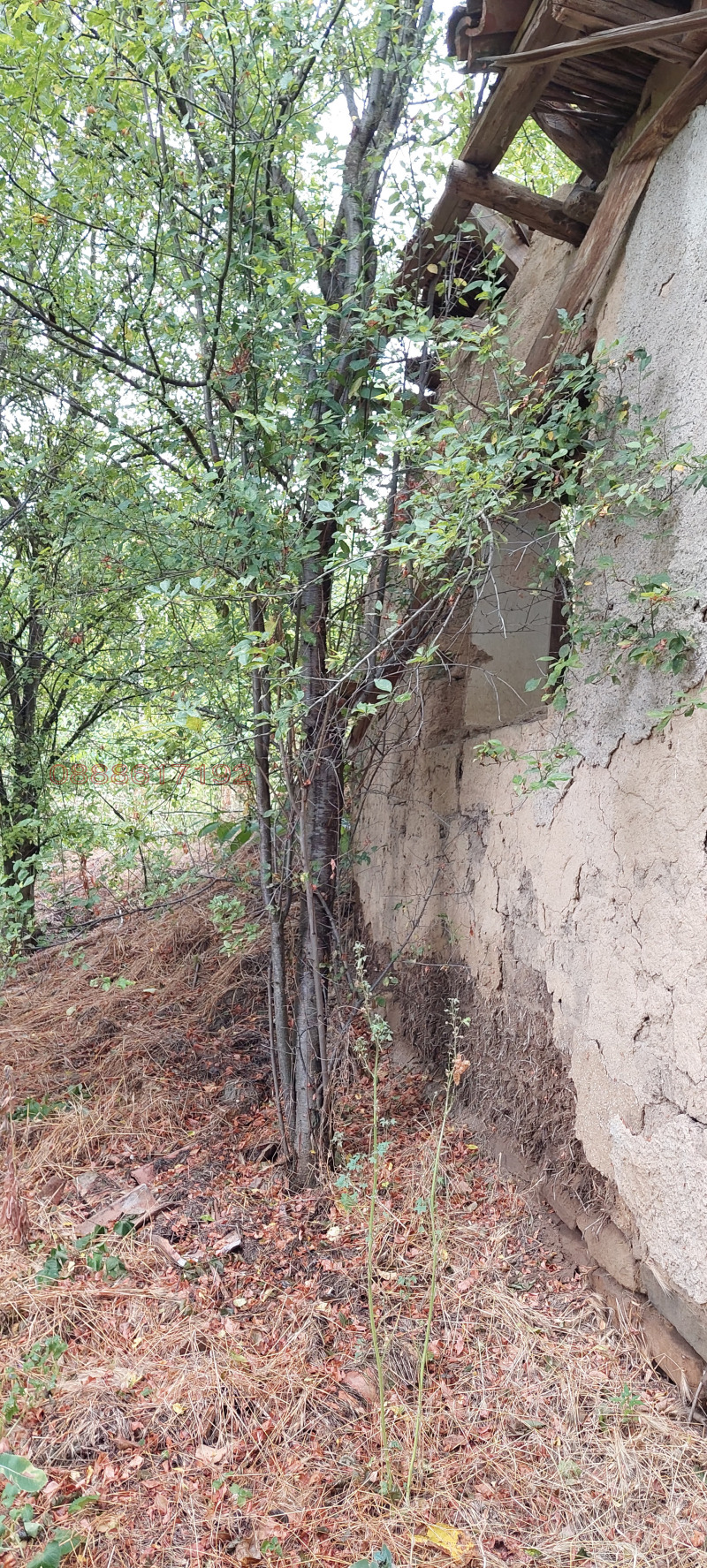 Продава КЪЩА, с. Татари, област Плевен