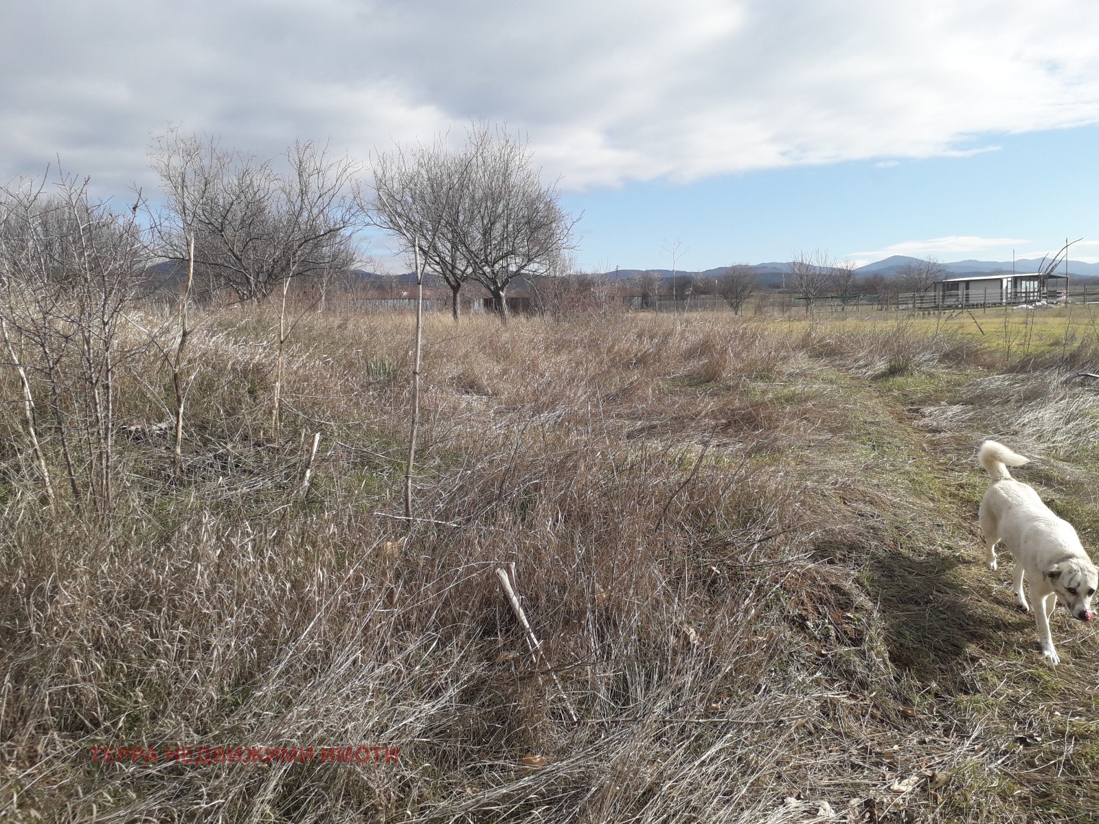 ������� ������ | Imot.bg � ����������� 6