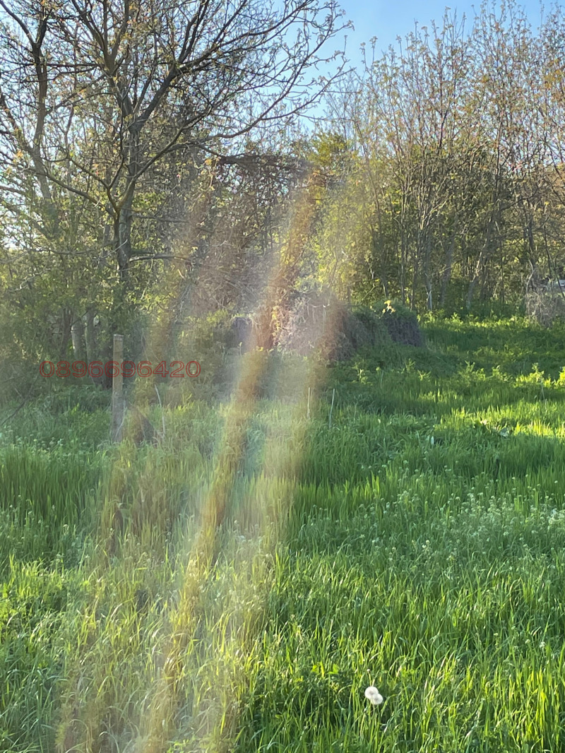 Продава ПАРЦЕЛ, с. Водица, област Търговище, снимка 3 - Парцели - 52785858