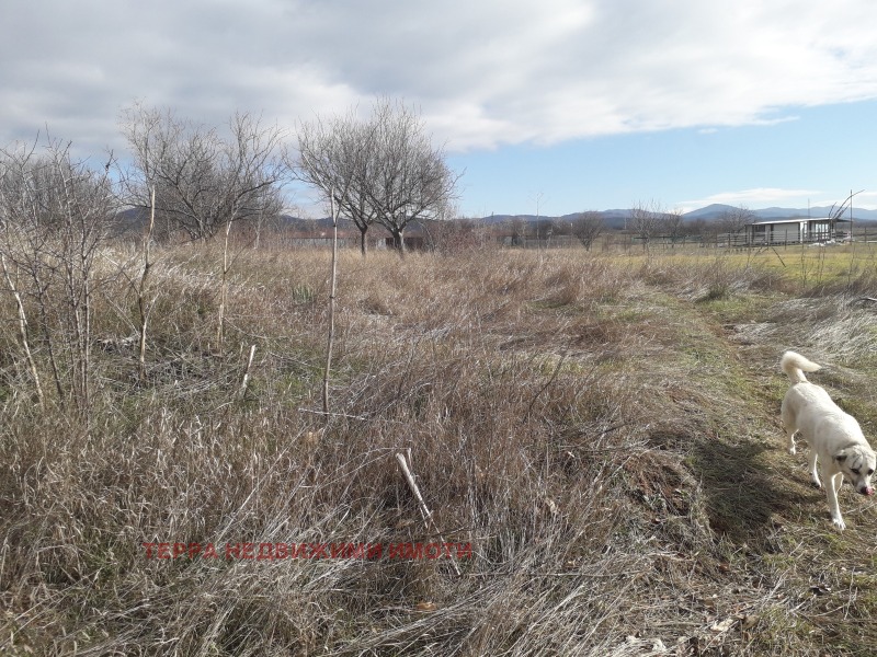 Продава ПАРЦЕЛ, гр. София, с. Подгумер, снимка 5 - Парцели - 53440645