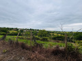Продава КЪЩА, с. Брестовица, област Русе, снимка 4