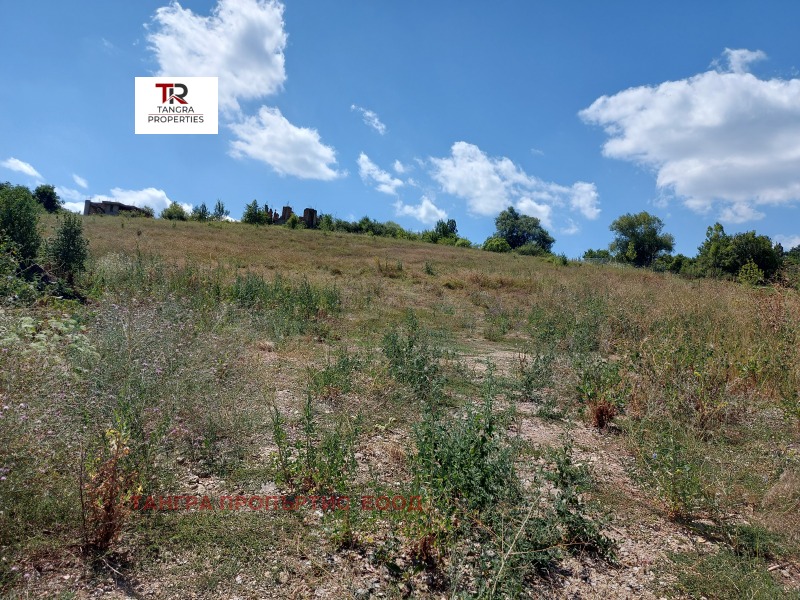 For Sale  Plot region Pernik , Kovachevtsi , 6700 sq.m | 83133527 - image [2]