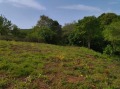 Продава ПАРЦЕЛ, с. Изгрев, област Бургас, снимка 2
