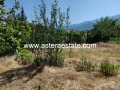 Продава КЪЩА, област Благоевград, с. Крупник • 35000 € • 95139161 — Holmes.bg