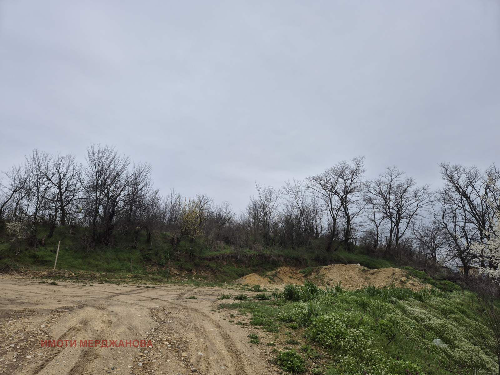 ������� ������ | Imot.bg � ����������� 4