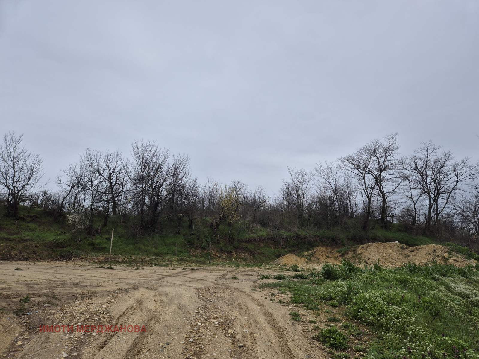 ������� ������ | Imot.bg � ����������� 3