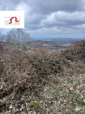 ������� ������ | Imot.bg � ����� ������ 7