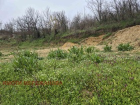 ������� ������ | Imot.bg � ����� ������ 5