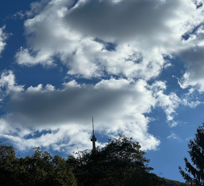 Till salu  3 sovrum Sofia , Bojana , 157 kvm | 60400629 - bild [11]