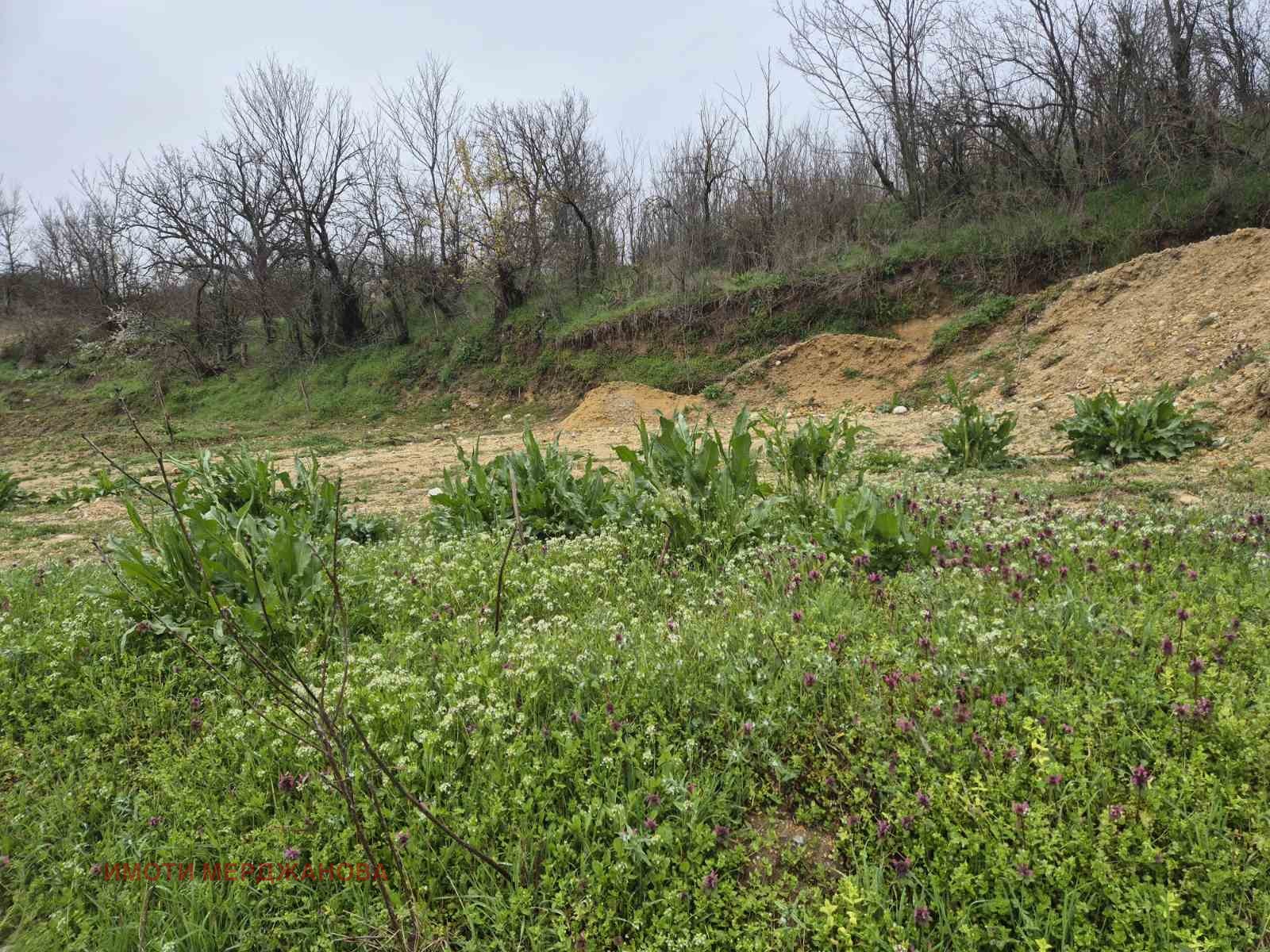 Продава ПАРЦЕЛ, с. Копринка, област Стара Загора, снимка 4 - Парцели - 54056277